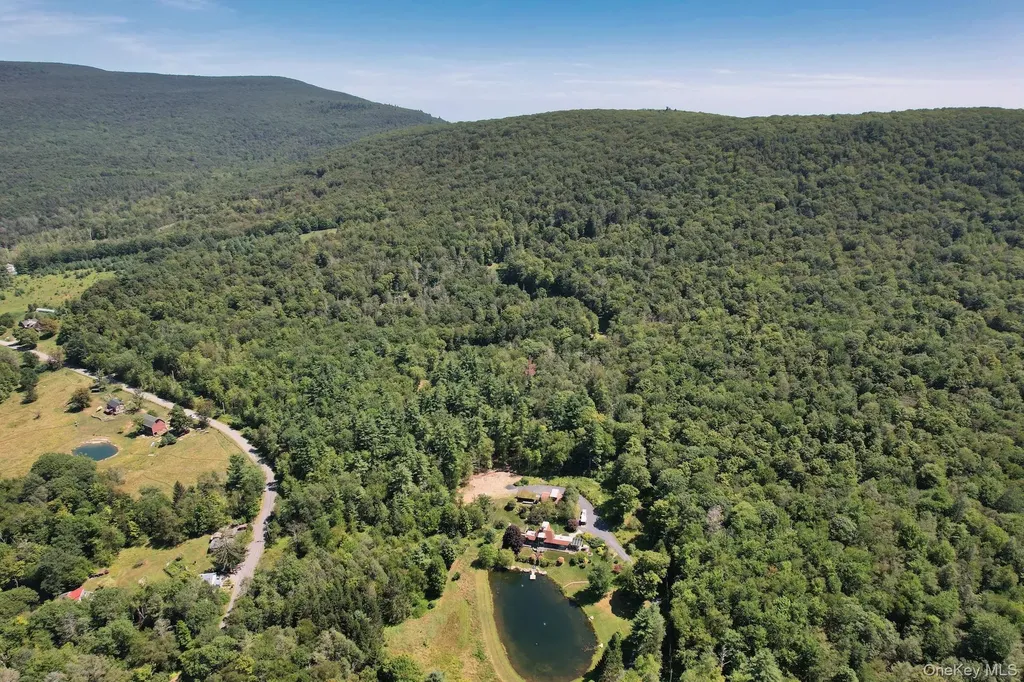 Tbd Macdaniel Road Bearsville NY 12409