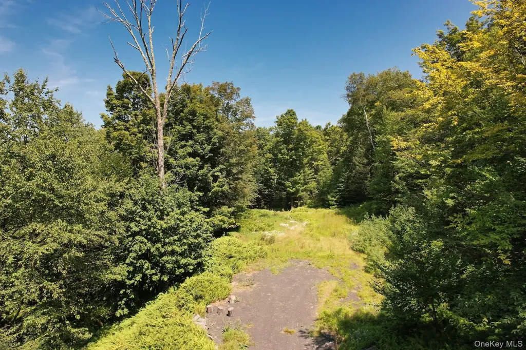 Tbd Macdaniel Road Bearsville NY 12409