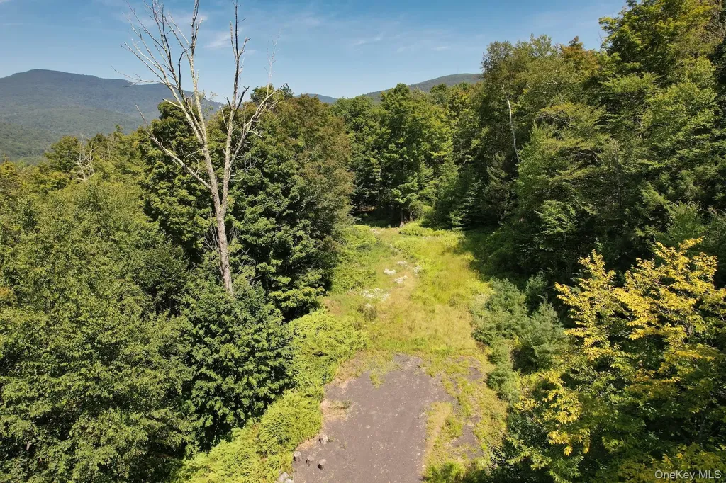 Tbd Macdaniel Road Bearsville NY 12409