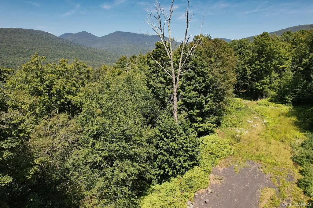 Tbd Macdaniel Road Bearsville NY 12409