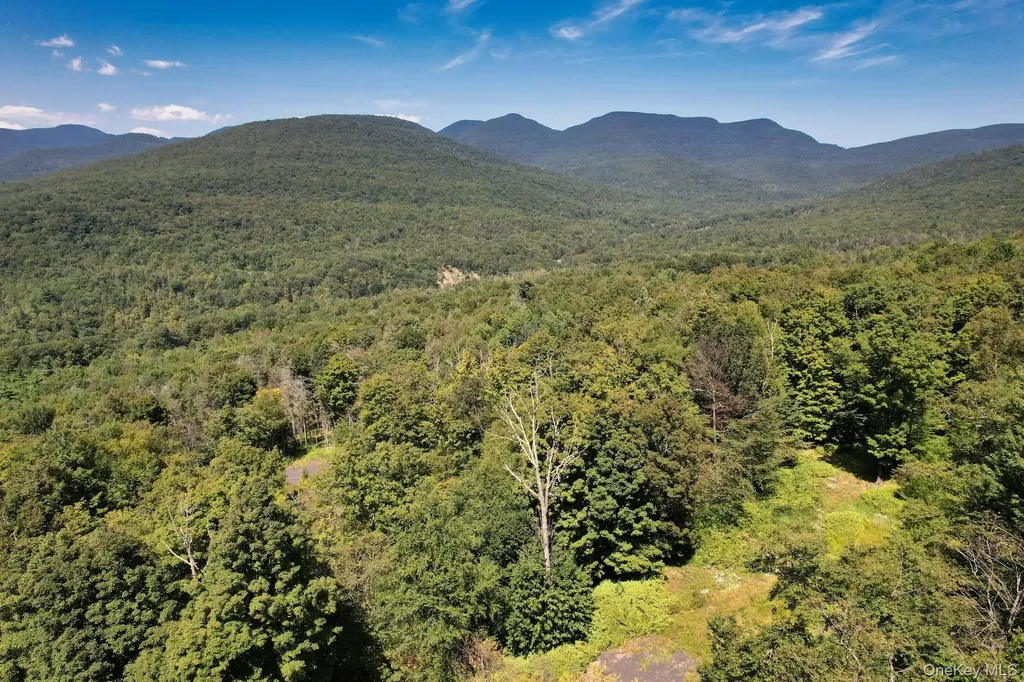Tbd Macdaniel Road Bearsville NY 12409