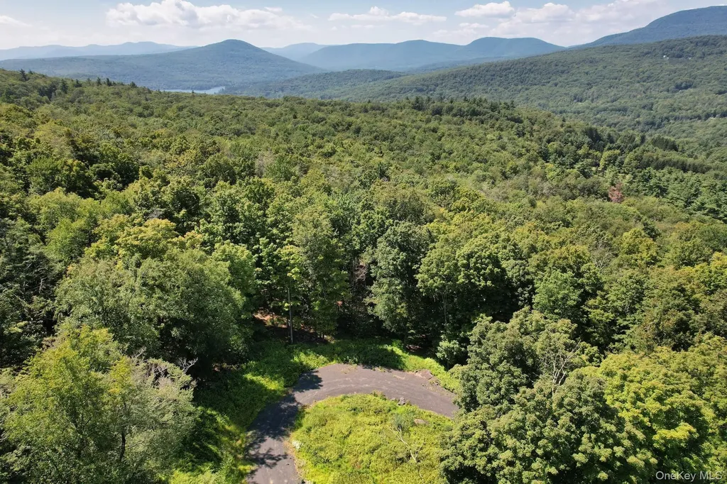 Tbd Macdaniel Road Bearsville NY 12409