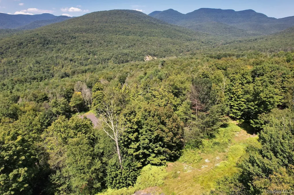 Tbd Macdaniel Road Bearsville NY 12409