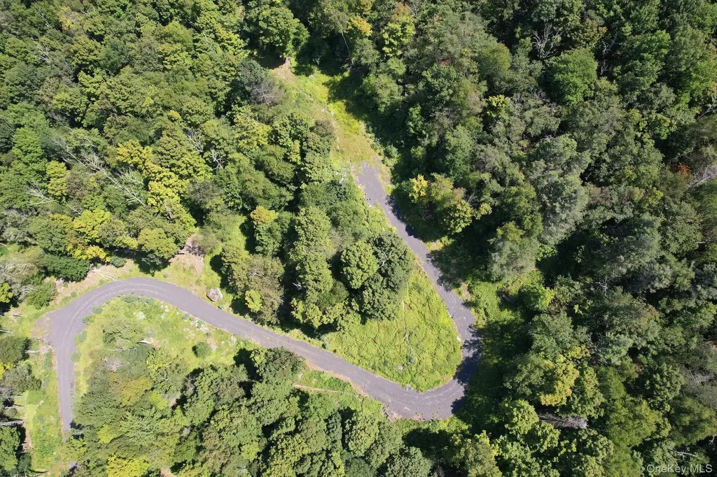 Tbd Macdaniel Road Bearsville NY 12409