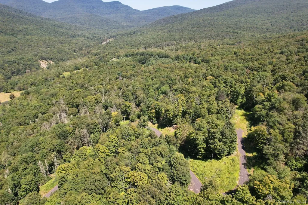 Tbd Macdaniel Road Bearsville NY 12409