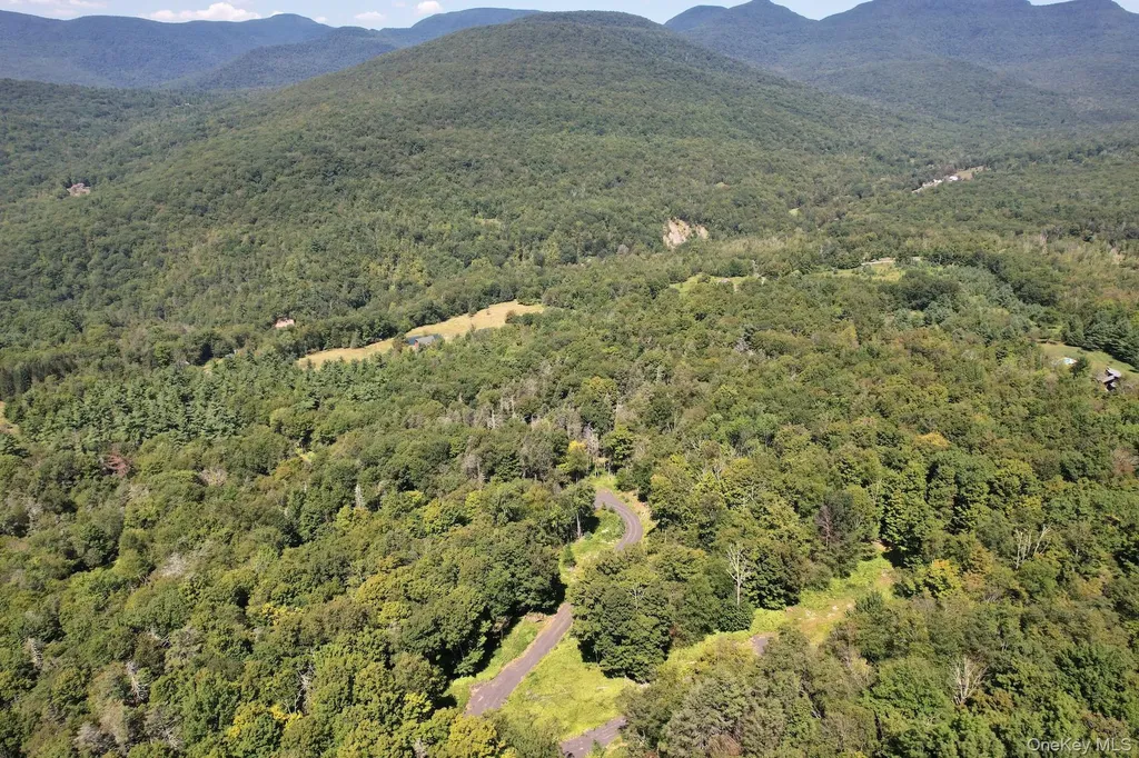 Tbd Macdaniel Road Bearsville NY 12409