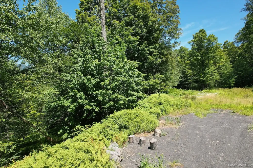 Tbd Macdaniel Road Bearsville NY 12409