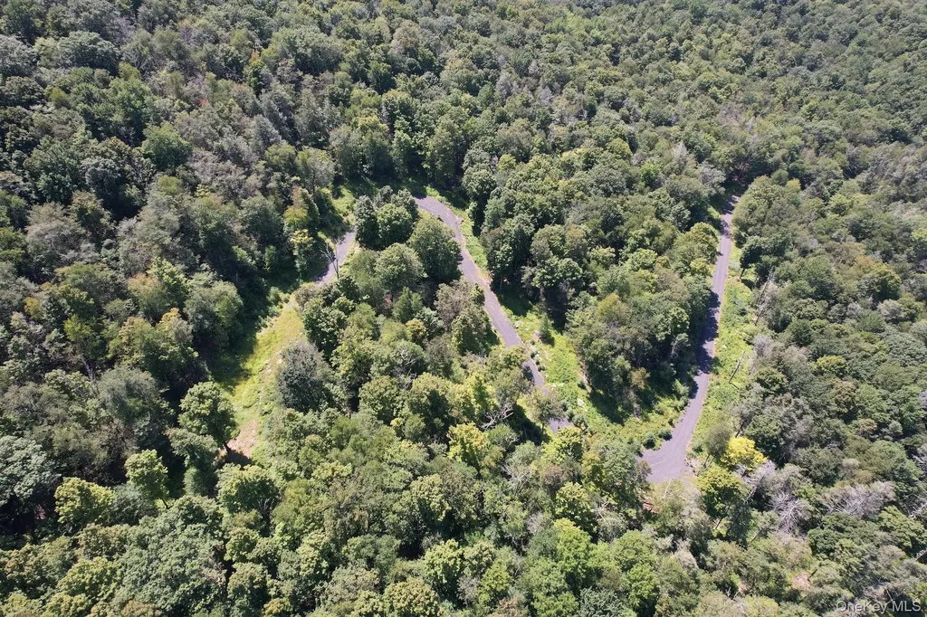 Tbd Macdaniel Road Bearsville NY 12409