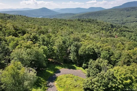 TBD Macdaniel Road Bearsville NY 12409