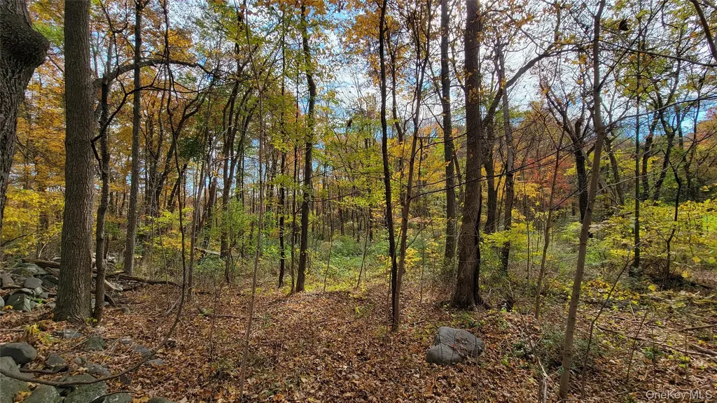 15 Rose Estates Walden NY 12586