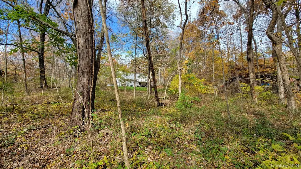 15 Rose Estates Walden NY 12586