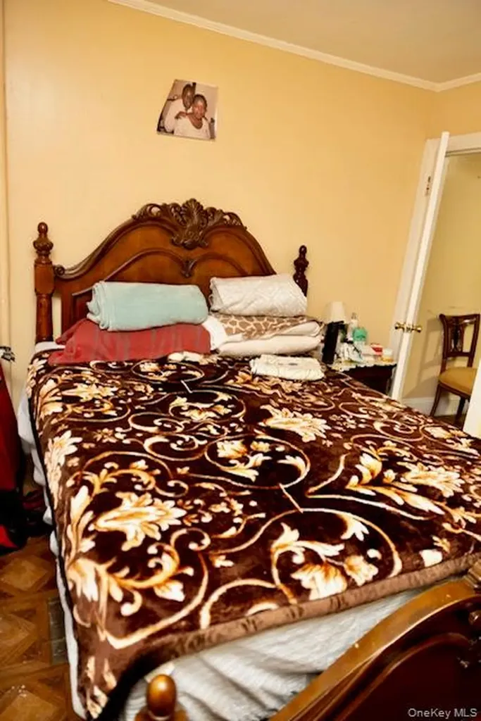 19 Frederick Avenue Elmont NY 11003