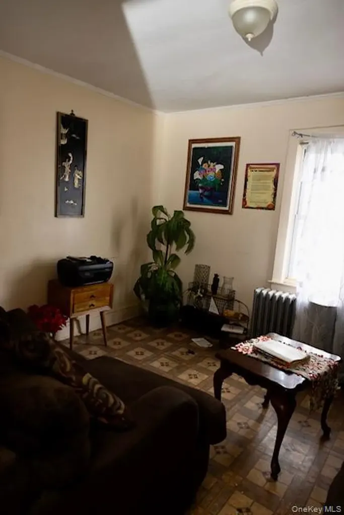 19 Frederick Avenue Elmont NY 11003
