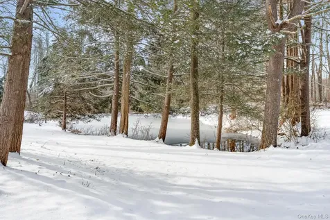 104 S Quaker Lane Hyde Park NY 12538