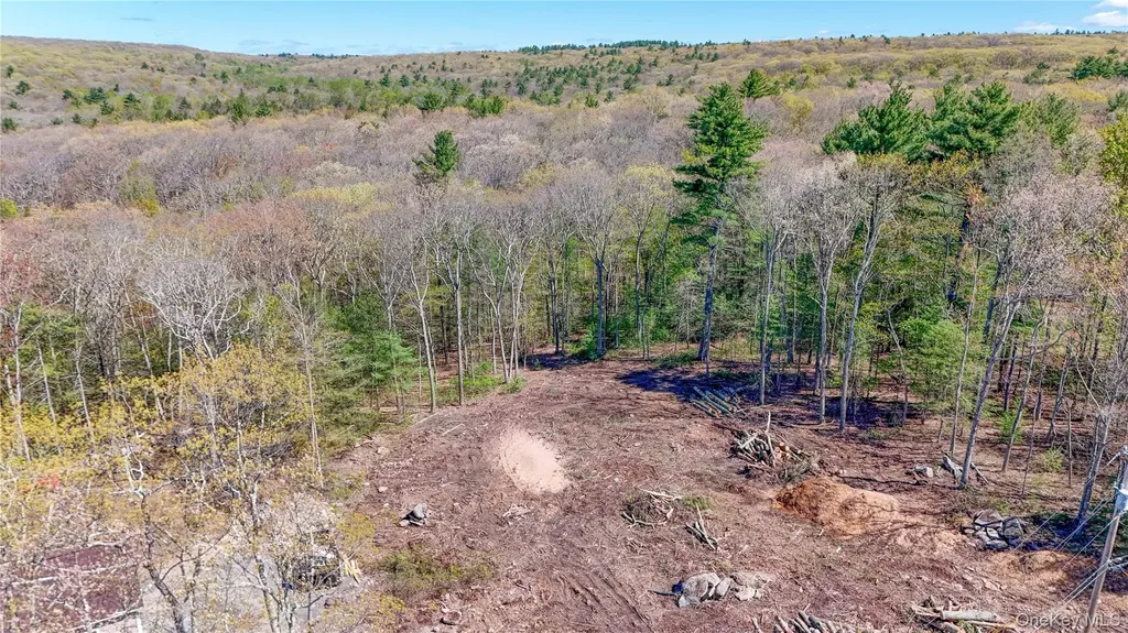 1025 Pine Kill Road Wurtsboro NY 12790