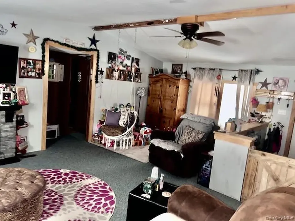27 Delaware Drive Sparrowbush NY 12780