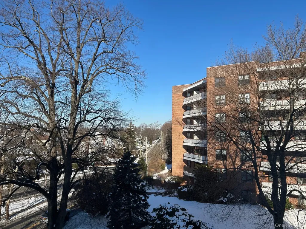 315 King Port Chester NY 10573