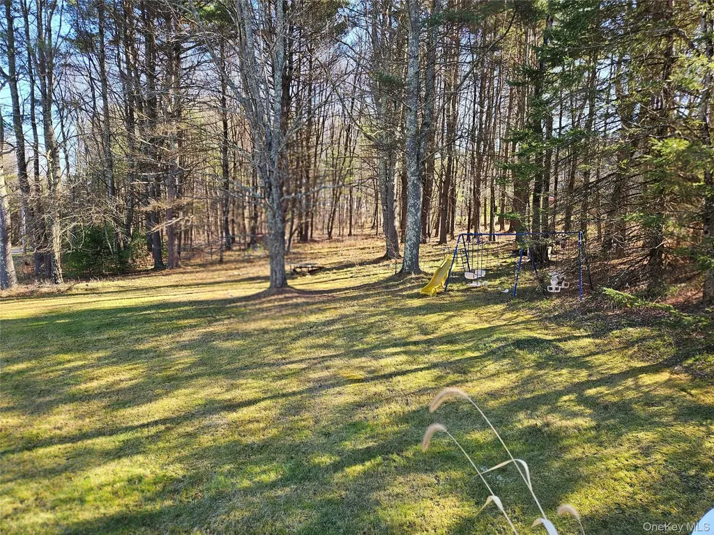 3624 State Route 55 Kauneonga Lake NY 12720