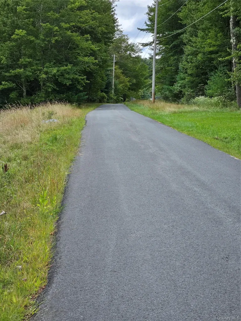 3624 State Route 55 Kauneonga Lake NY 12720