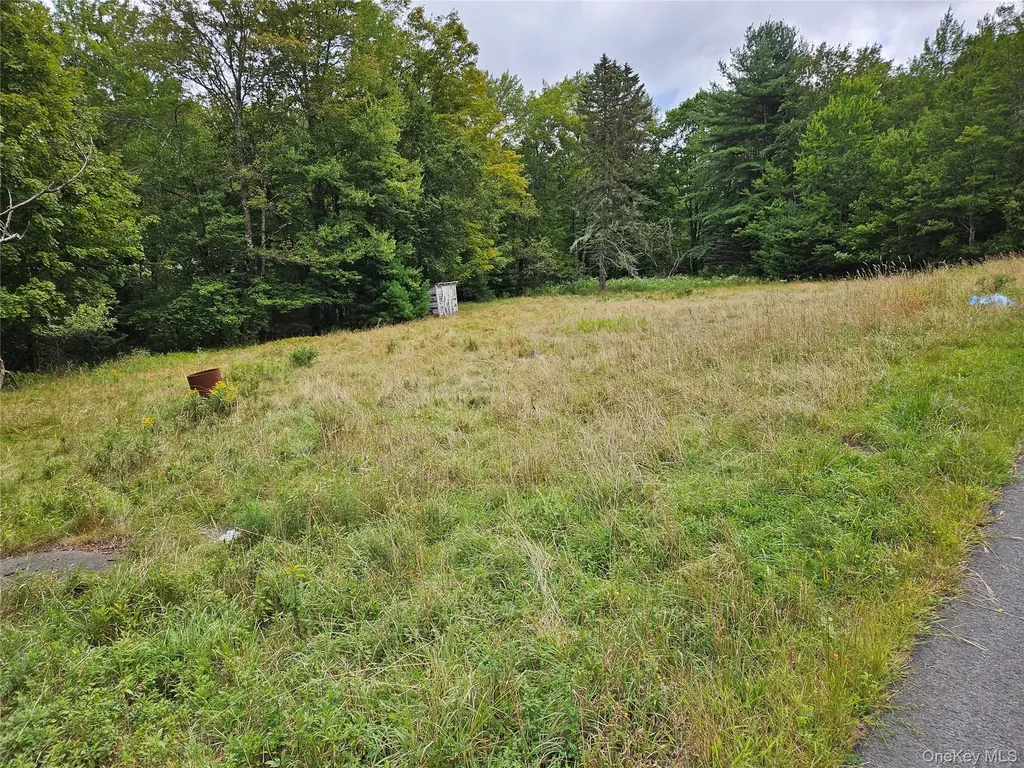 3624 State Route 55 Kauneonga Lake NY 12720