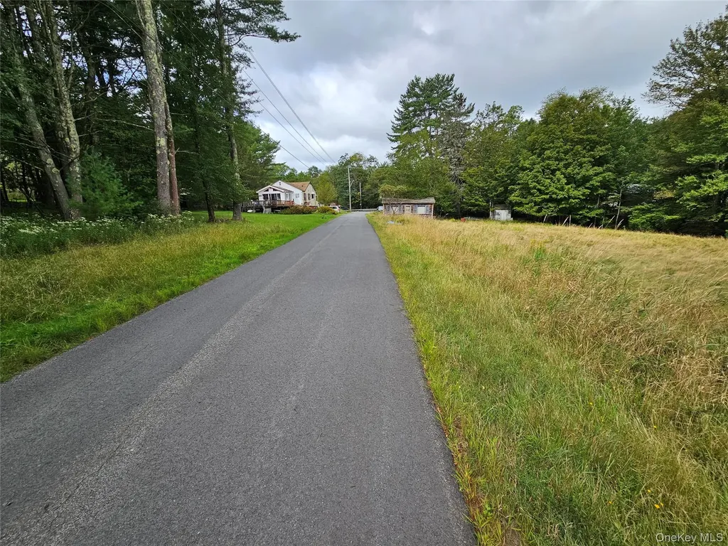 3624 State Route 55 Kauneonga Lake NY 12720