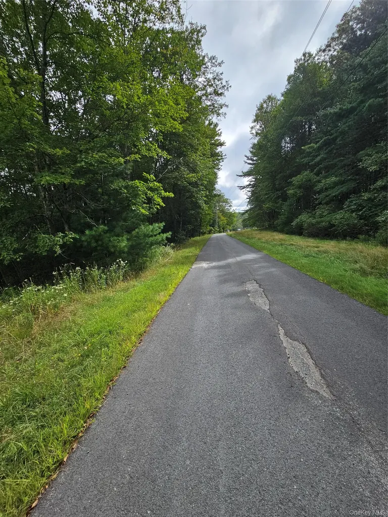 3624 State Route 55 Kauneonga Lake NY 12720
