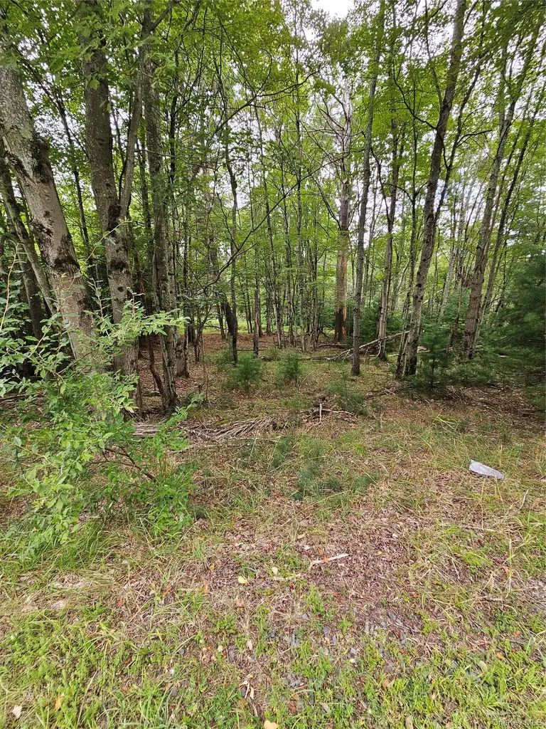 3624 State Route 55 Kauneonga Lake NY 12720