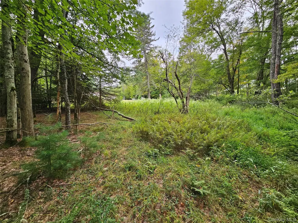 3624 State Route 55 Kauneonga Lake NY 12720