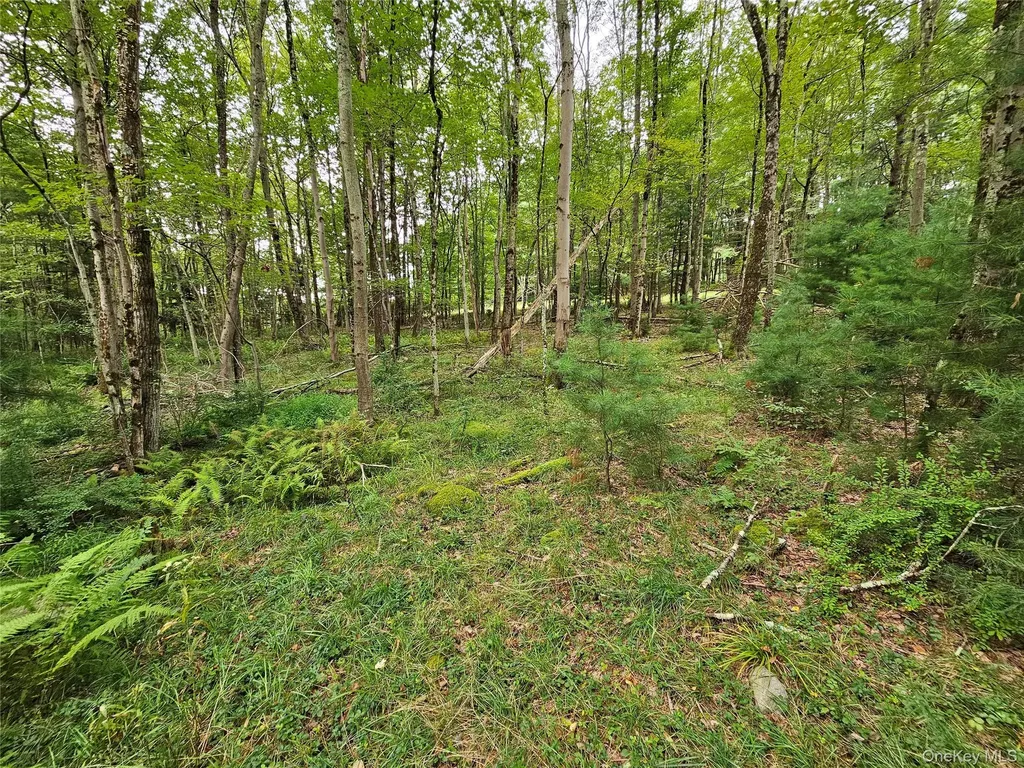 3624 State Route 55 Kauneonga Lake NY 12720