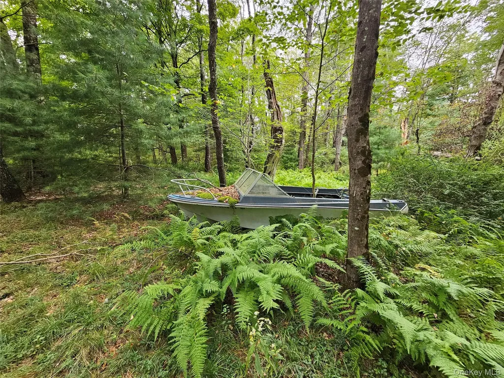 3624 State Route 55 Kauneonga Lake NY 12720