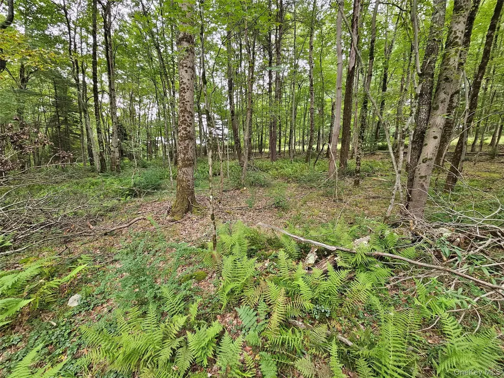 3624 State Route 55 Kauneonga Lake NY 12720
