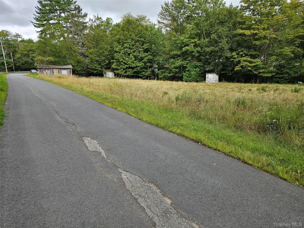3624 State Route 55 Kauneonga Lake NY 12720