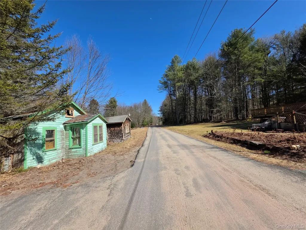 3624 State Route 55 Kauneonga Lake NY 12720