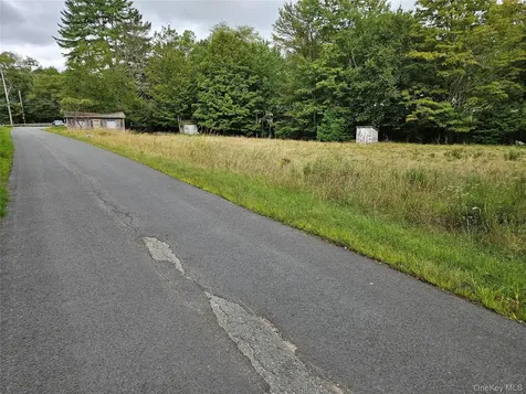 3624 State Route 55 Kauneonga Lake NY 12720