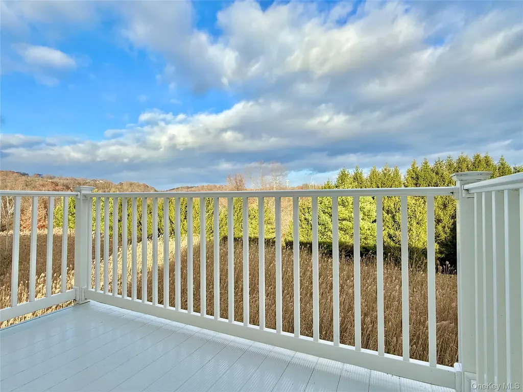808 Egrets Landing Carmel NY 10512