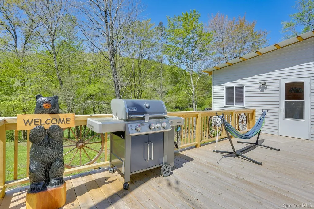 463 County Road 131 Callicoon NY 12723