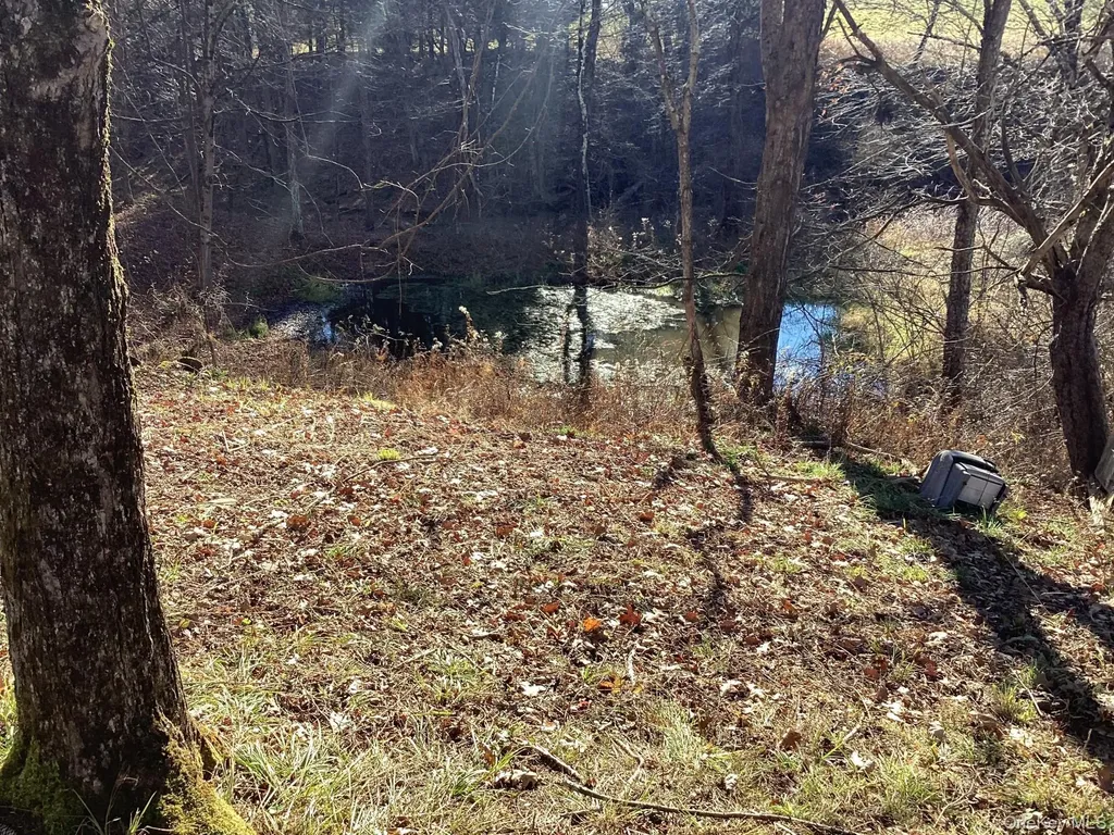 463 County Road 131 Callicoon NY 12723