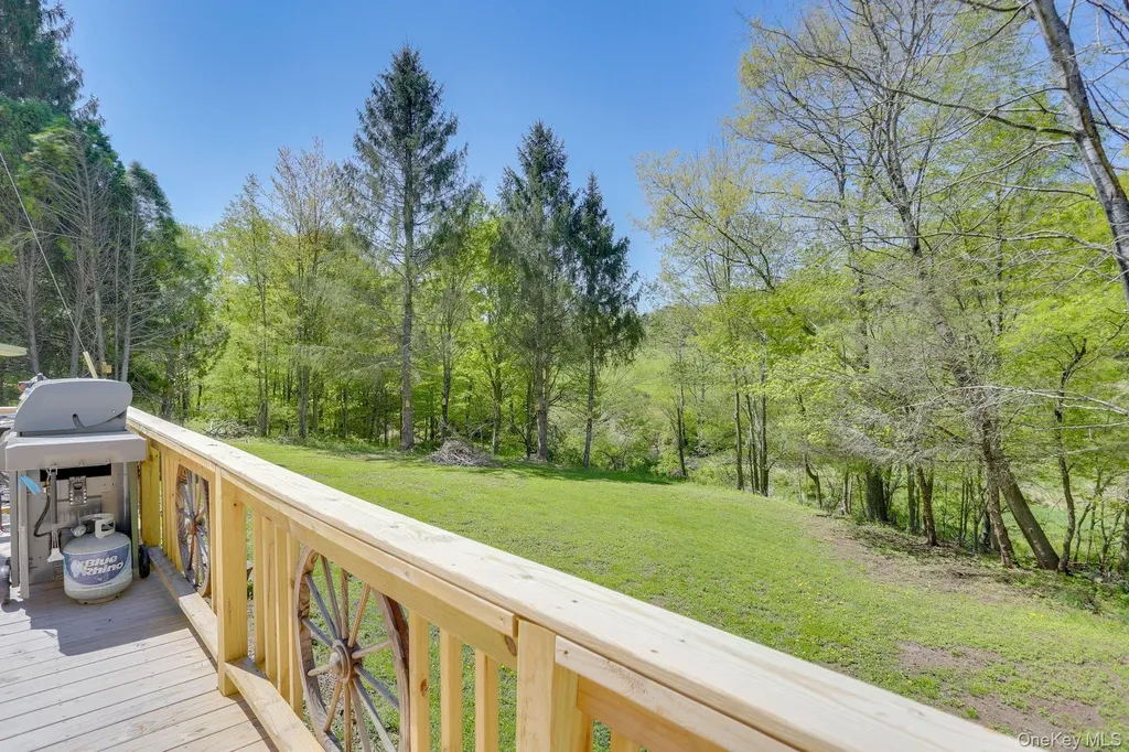 463 County Road 131 Callicoon NY 12723