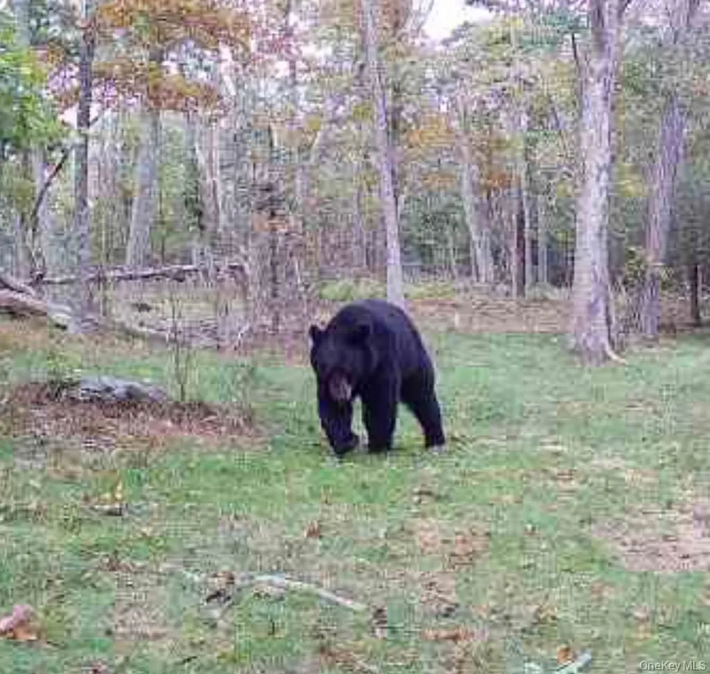 80 Hunter Lane Wassaic NY 12592