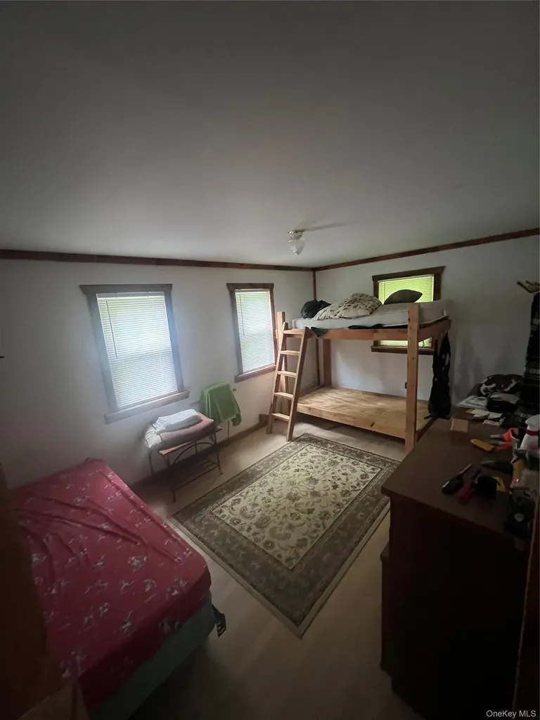 80 Hunter Lane Wassaic NY 12592