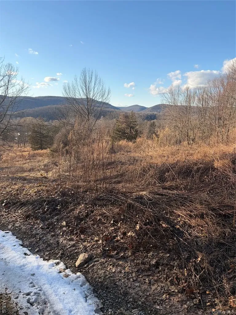 80 Hunter Lane Wassaic NY 12592
