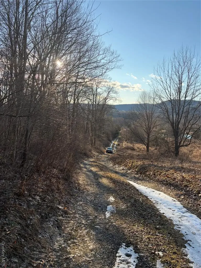 80 Hunter Lane Wassaic NY 12592