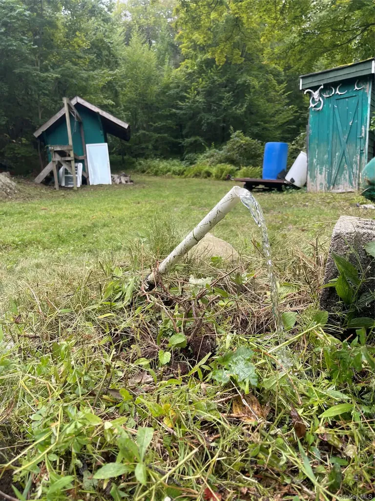80 Hunter Lane Wassaic NY 12592