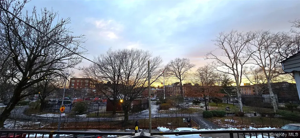 537 Miller Avenue Brooklyn NY 11207