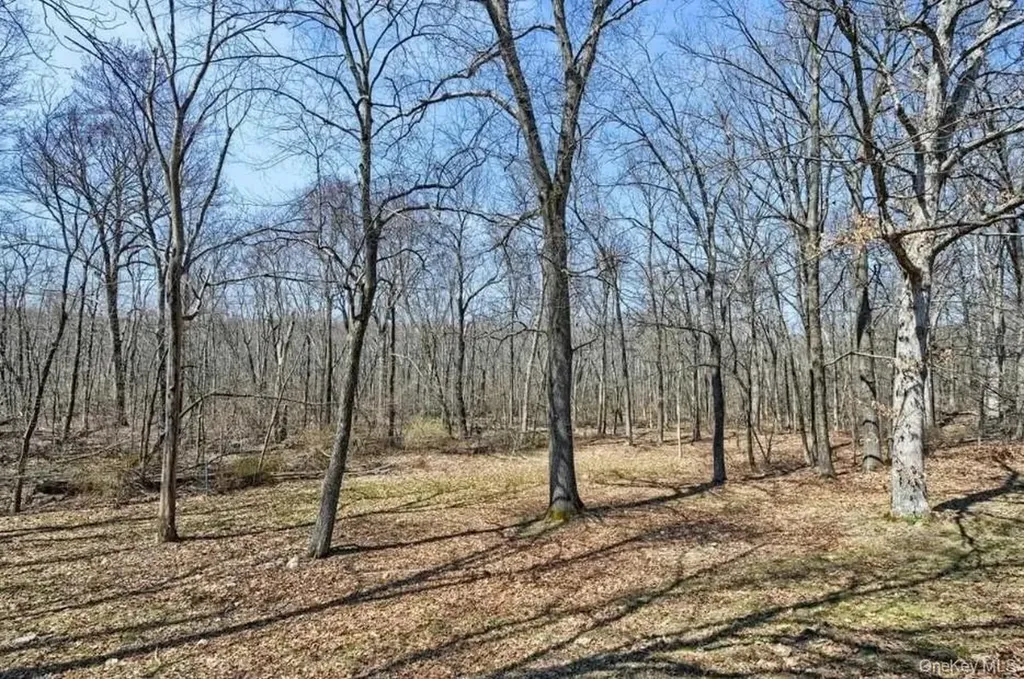 19 Rose Lane Wappingers Falls NY 12590