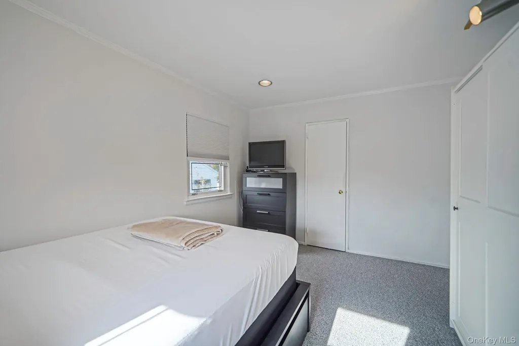 11 Fordham Drive Plainview NY 11803
