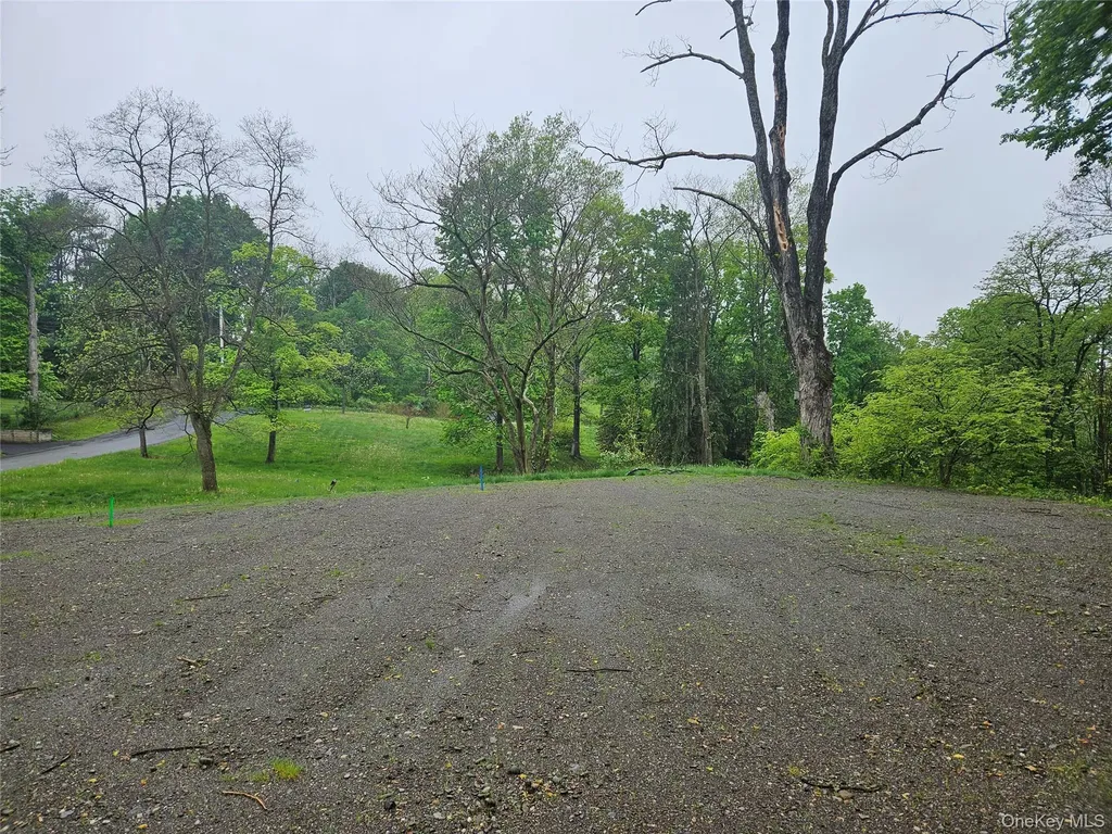 9 Mountain View Avenue Hyde Park NY 12580
