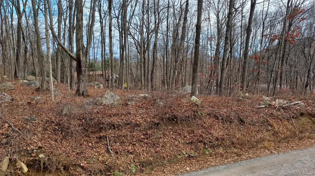 4 Prout Lane Stormville NY 12582