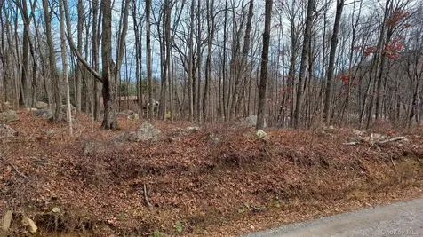 4 Prout Lane Stormville NY 12582