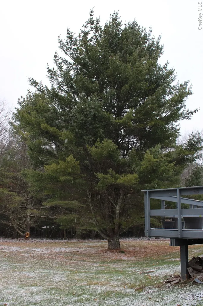 477 Campbell Road Windham NY 12407